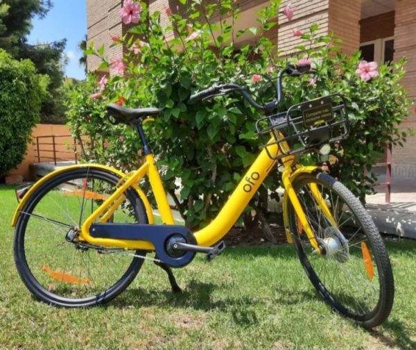 City Bike