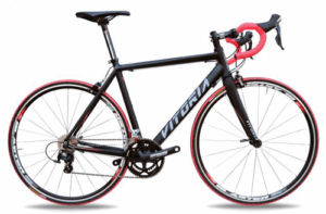 Race / Road Bikes